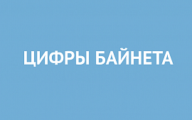 Представлены основные цифры Байнета на начало 2017 года