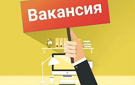 Количество вакансий в IT-сфере за 2022 год снизилось на 50%