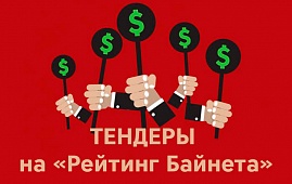 «Организовать тендер» — новый сервис на сайте проекта «Рейтинг Байнета»